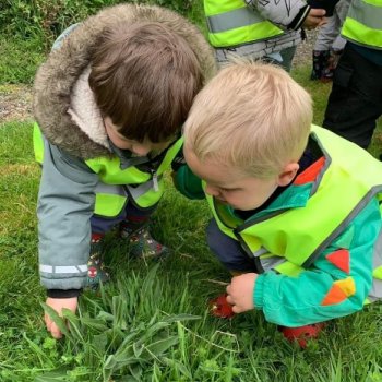 preschool image